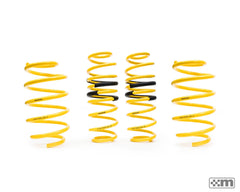 Sport Spring Kit [Mk7 Fiesta ST / 1.0]