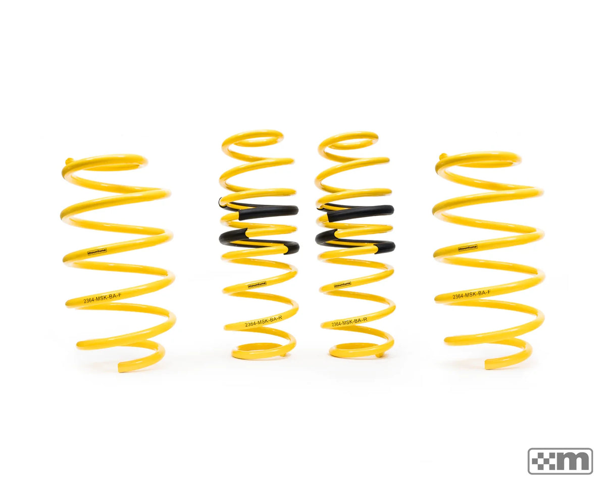 Sport Spring Kit [Mk7 Fiesta ST / 1.0]