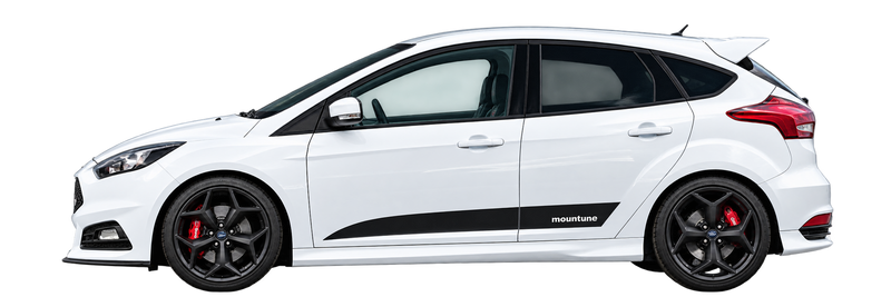 Mk3.5 Focus ST