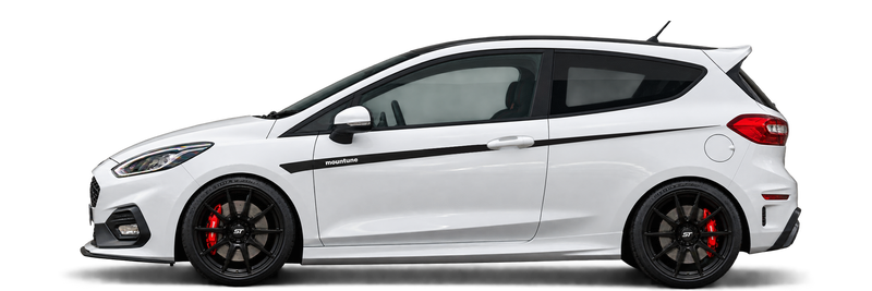 Mk8/8.5 Fiesta ST