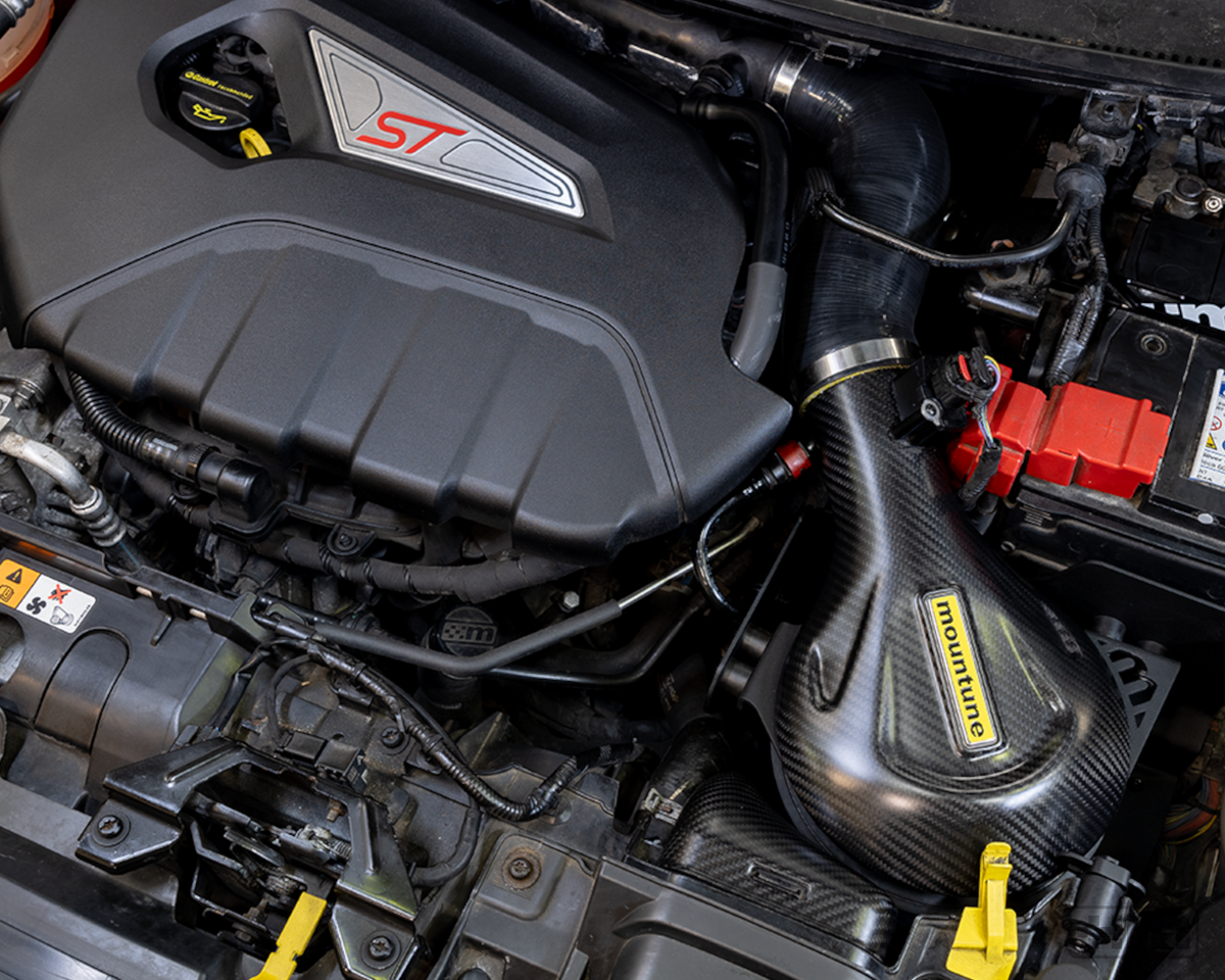 Carbon Induction Kit [Mk7 Fiesta ST]