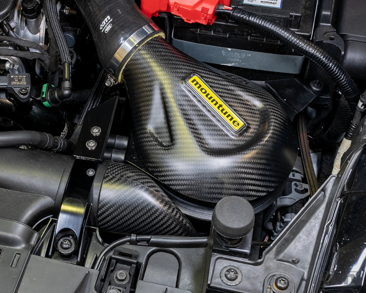Carbon Induction Kit [Mk8 Fiesta ST | Puma ST]