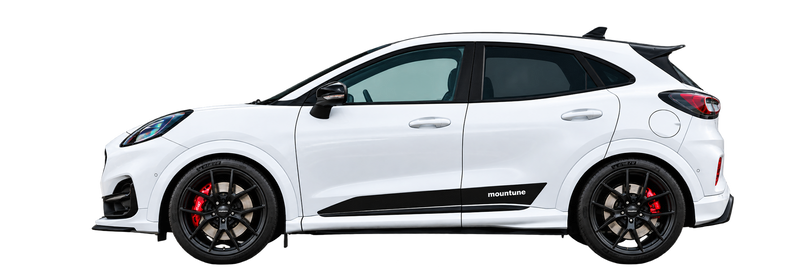 Puma ST