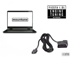 mTune Calibration [Mk7 1.0L EcoBoost] - Fitted at mountune HQ