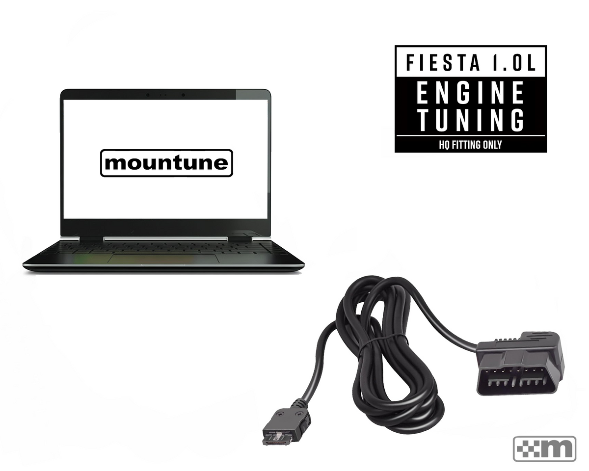 mTune Calibration [Mk7 1.0L EcoBoost] - Fitted at mountune HQ