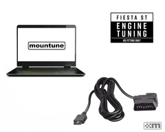 mTune Calibration [Mk7 Fiesta ST] - Fitted at mountune HQ