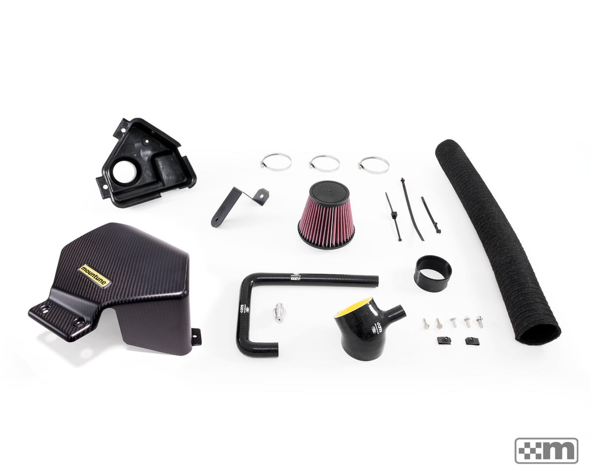Cold Air Induction System [Mk6 Fiesta ST]