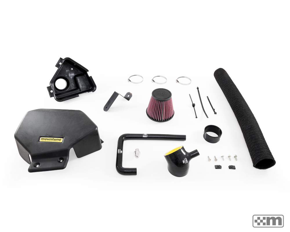 Cold Air Induction System [Mk6 Fiesta ST]
