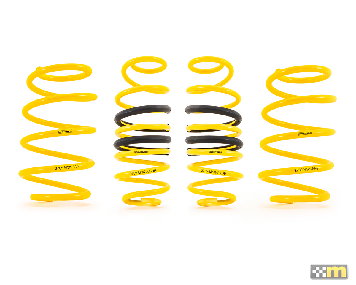 Sport Spring Kit [Mk8 Fiesta ST]